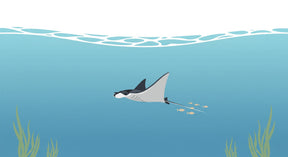 Detailed ocean manta ray mural wallpaper design pattern with underwater marine life by Kids-Mundo