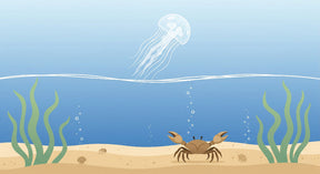 Detailed ocean adventure mural wallpaper design pattern with crabs and jellyfish by Kids-Mundo