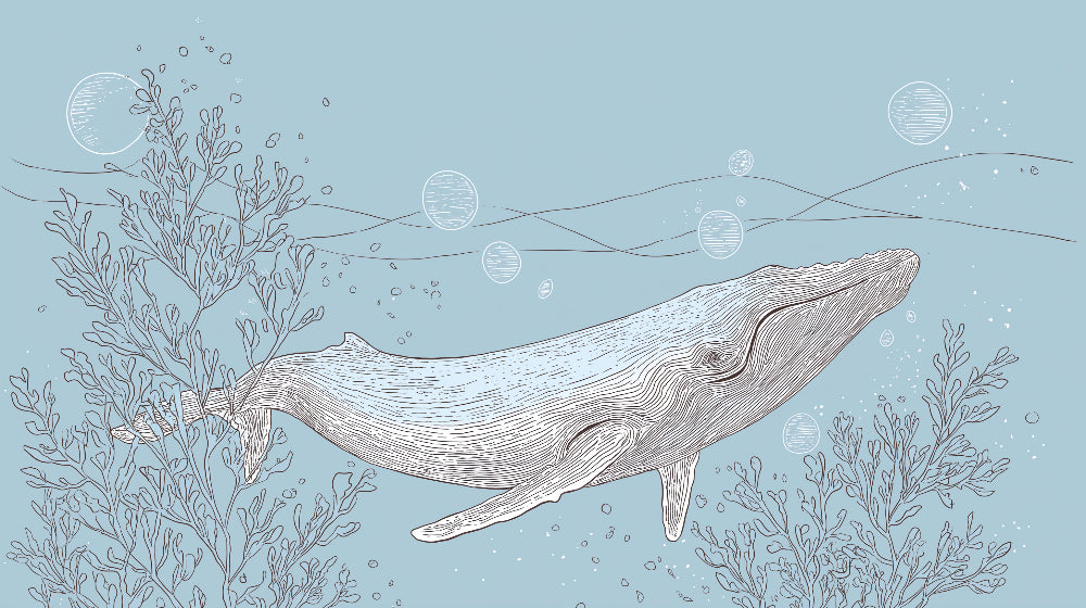 Detailed ocean whale mural wallpaper design pattern with seaweed and bubbles by Kids-Mundo