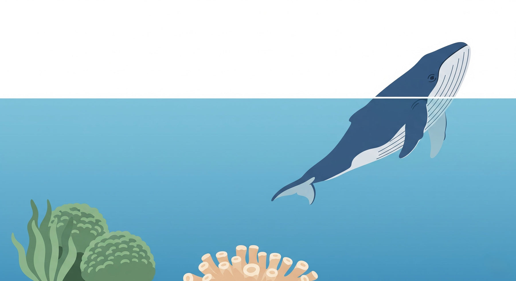 Detailed ocean whale and coral mural wallpaper design pattern by Kids-Mundo