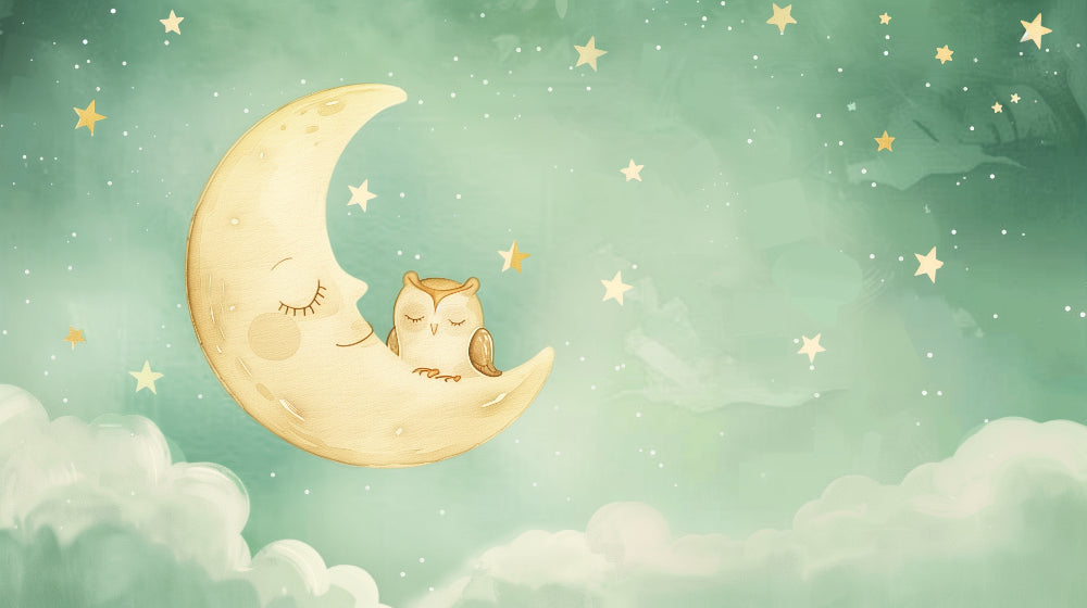 Detailed owl moon mural wallpaper design pattern showing sleepy owl under crescent moon with stars by Kids-Mundo