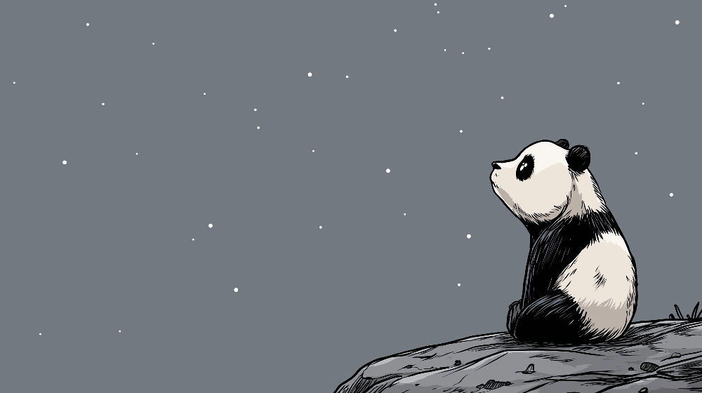 Panda Stargazing Under Night Sky Wall Mural