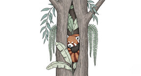 Detailed red panda hidden in tree mural wallpaper design pattern by Kids-Mundo