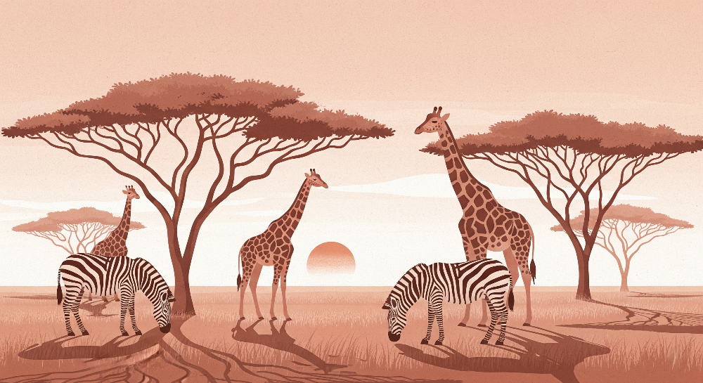 Safari Giraffes and Zebras at Sunset Wall Mural