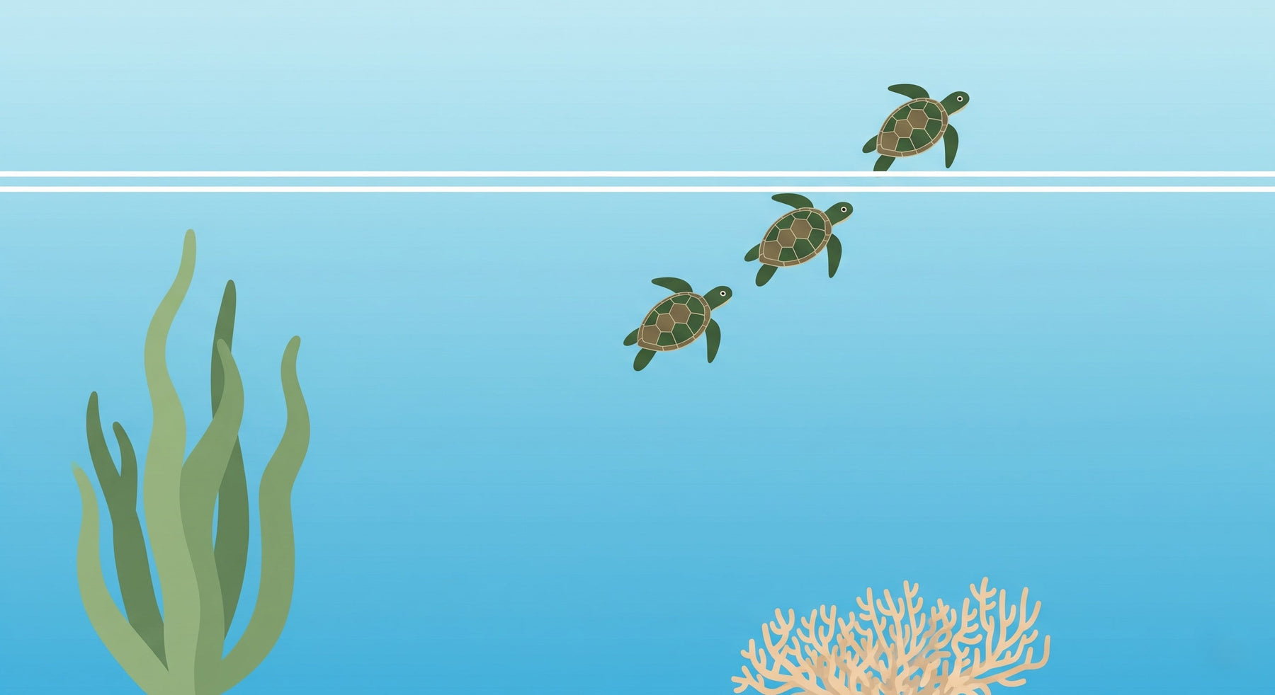 Detailed sea turtle and coral reef mural wallpaper design pattern by Kids-Mundo showing ocean theme