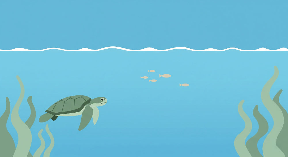 Detailed sea turtle underwater mural wallpaper design pattern with marine life by Kids-Mundo