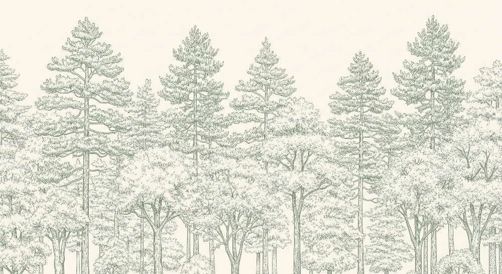 Sketched Pine Forest Wall Mural