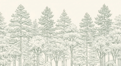 Kids-Mundo flat artwork of tall pine trees rendered in fine sage-green botanical line art