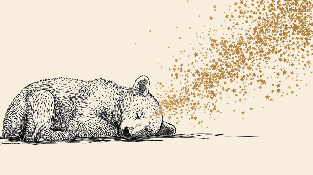 Detailed sleeping bear with golden stars mural wallpaper design pattern by Kids-Mundo