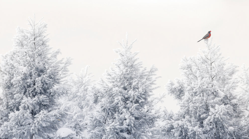 Detailed snowy forest mural wallpaper design pattern with winter trees and bird by Kids-Mundo