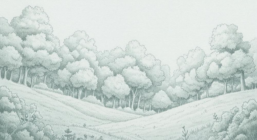 Soft Sage Forest Meadow Wall Mural