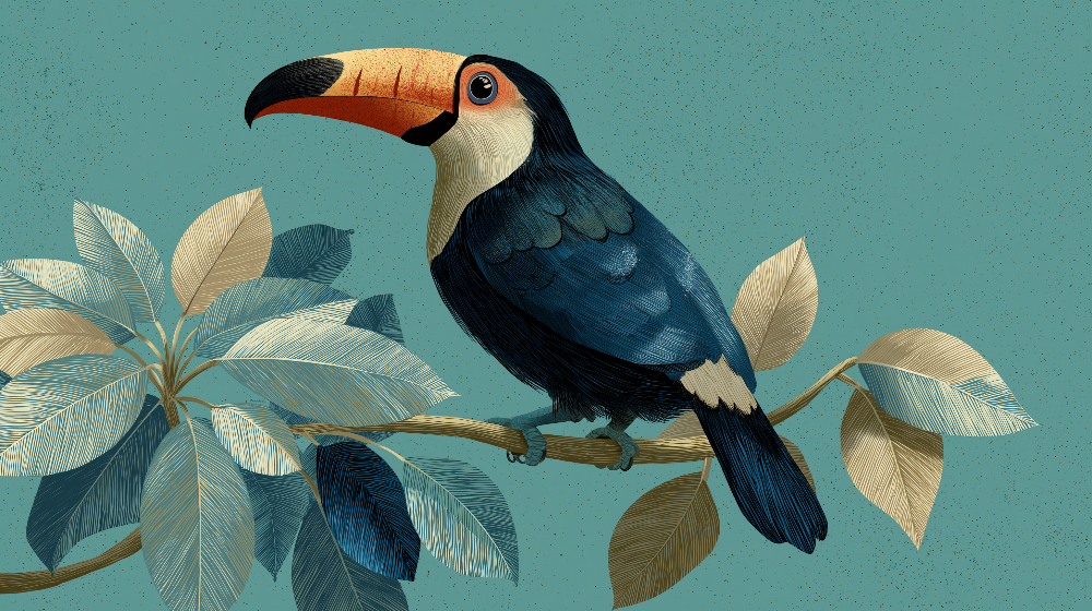 Toucan Portrait on Turquoise Wall Mural