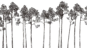 Detailed minimalist tree forest mural wallpaper design pattern by Kids-Mundo
