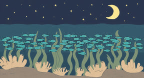 Detailed underwater ocean mural wallpaper design pattern with starry surface by Kids-Mundo