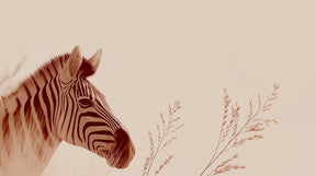 Detailed gentle zebra mural wallpaper design pattern with grass details by Kids-Mundo