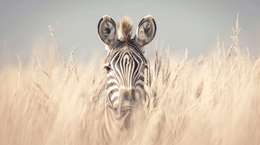Detailed zebra in grassland mural wallpaper design pattern by Kids-Mundo